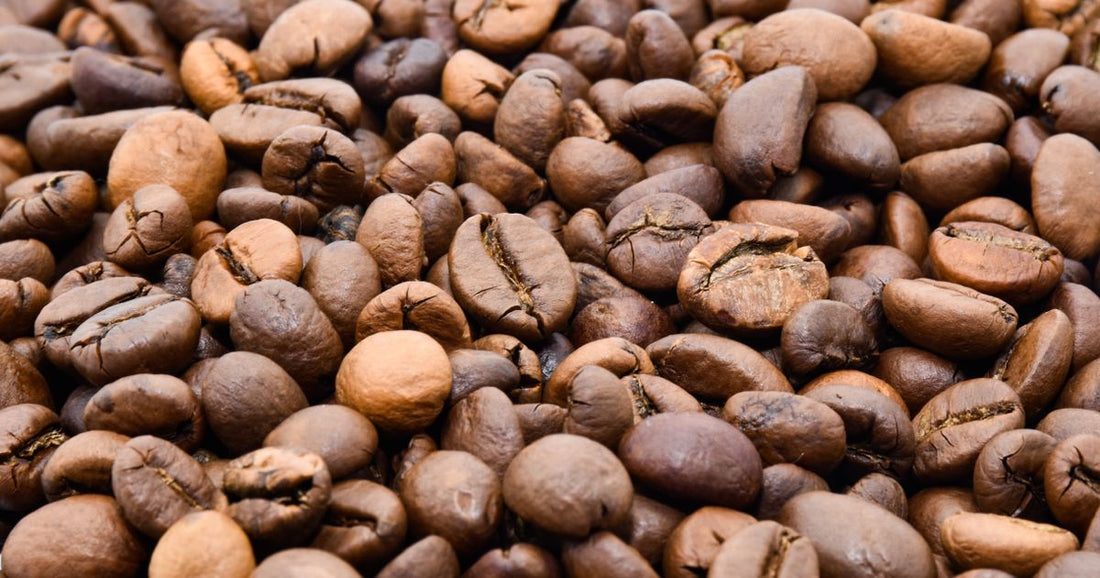 Best Fresh Roasted Coffee With Free Shipping 2026: Top 5 Ranked