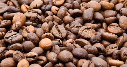 Best Fresh Roasted Coffee With Free Shipping 2026: Top 5 Ranked