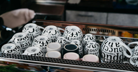 Best Espresso Cups 2026: Top 5 Ranked & Compared