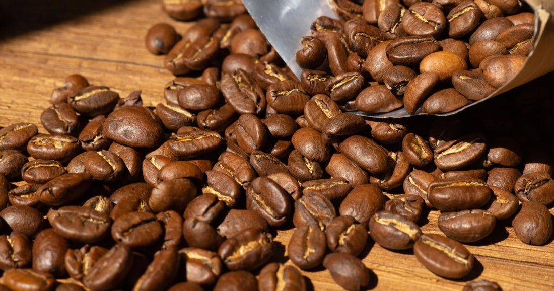 Light Roast vs Medium Roast Coffee: Which Is Right for You?