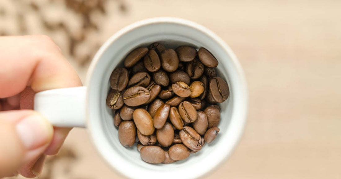 How to Taste Coffee Flavor Notes Like a Pro