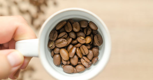 How to Taste Coffee Flavor Notes Like a Pro