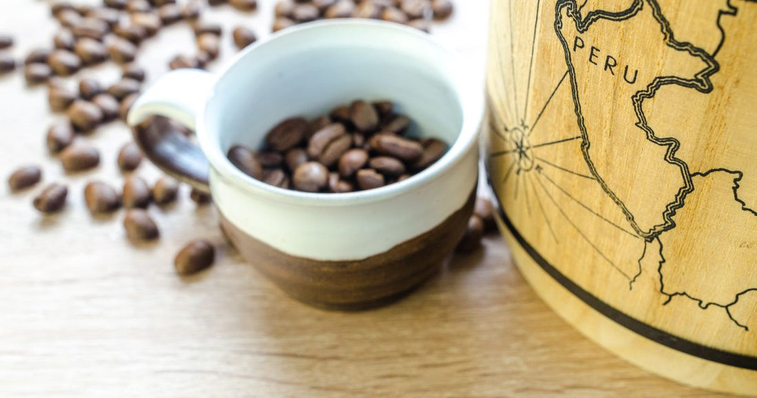 Best Single Origin Coffees by Region: 2026 Guide