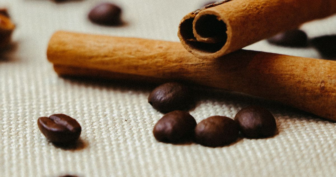 Coffee Bean Flavor Profile Guide: Taste Notes Explained