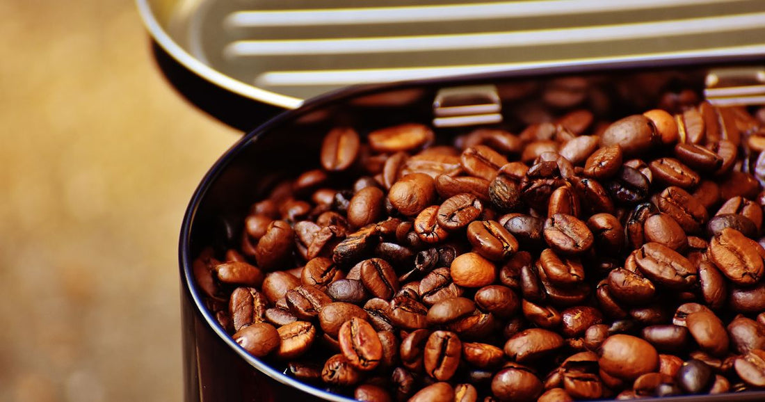 Best Specialty Coffee Beans 2026: Top 6 Roasters Ranked