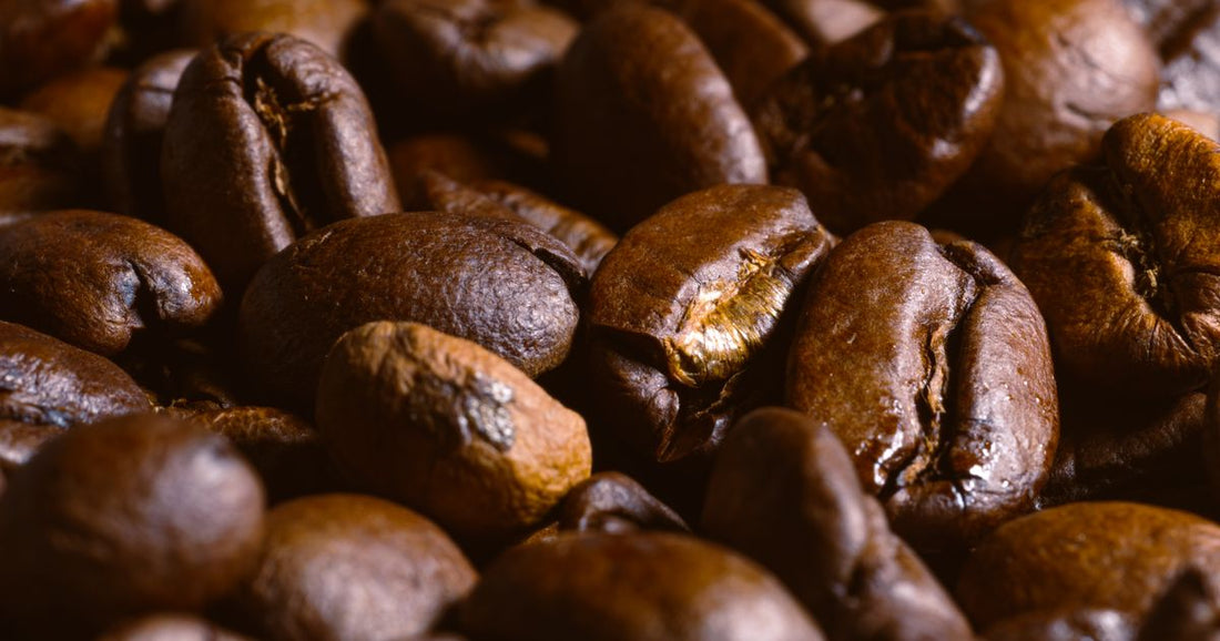 Best Places to Buy Premium Single Origin Coffee 2026