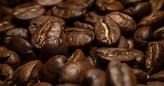 Best Fresh Roasted Coffee Beans Online | Everline