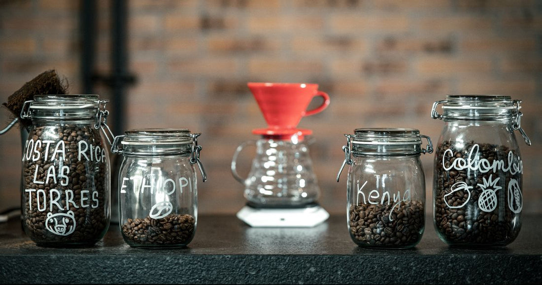 Best Specialty Coffee Beans for Gift 2026: Top 5 Ranked