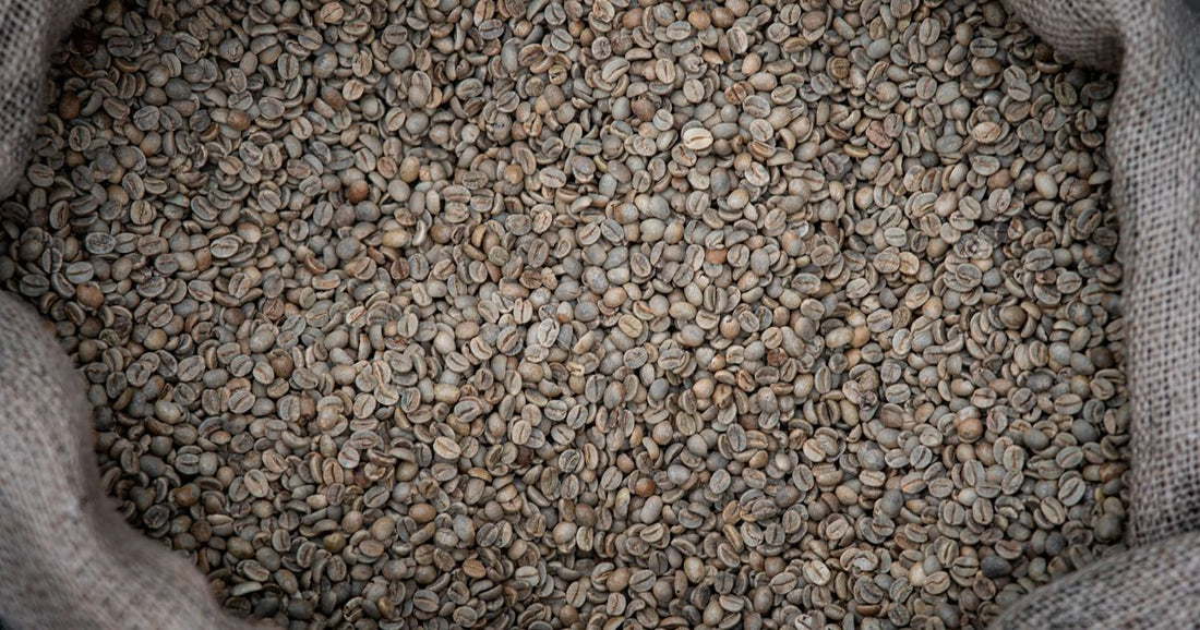 Artisan Coffee Sourcing: Quality Standards That Matter