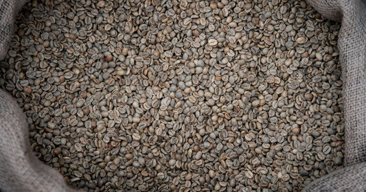 Artisan Coffee Sourcing: Quality Standards That Matter