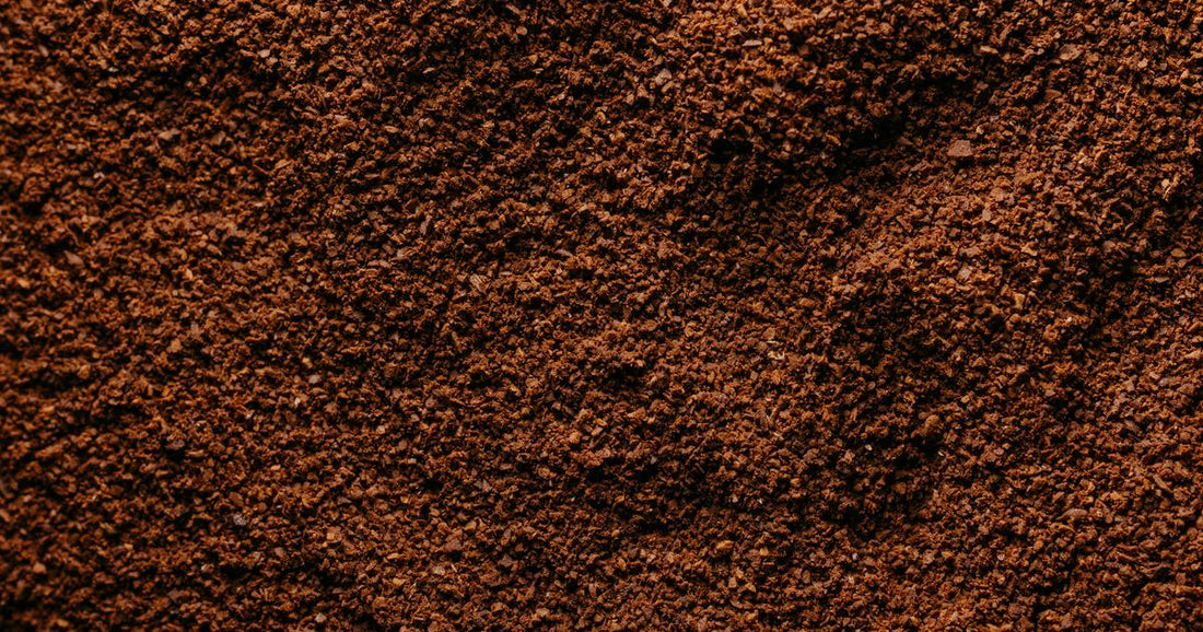 Best Coffee Grounds for Every Brewing Method