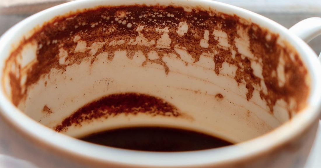 How to Tell if Coffee is Fresh: 5 Signs to Look For