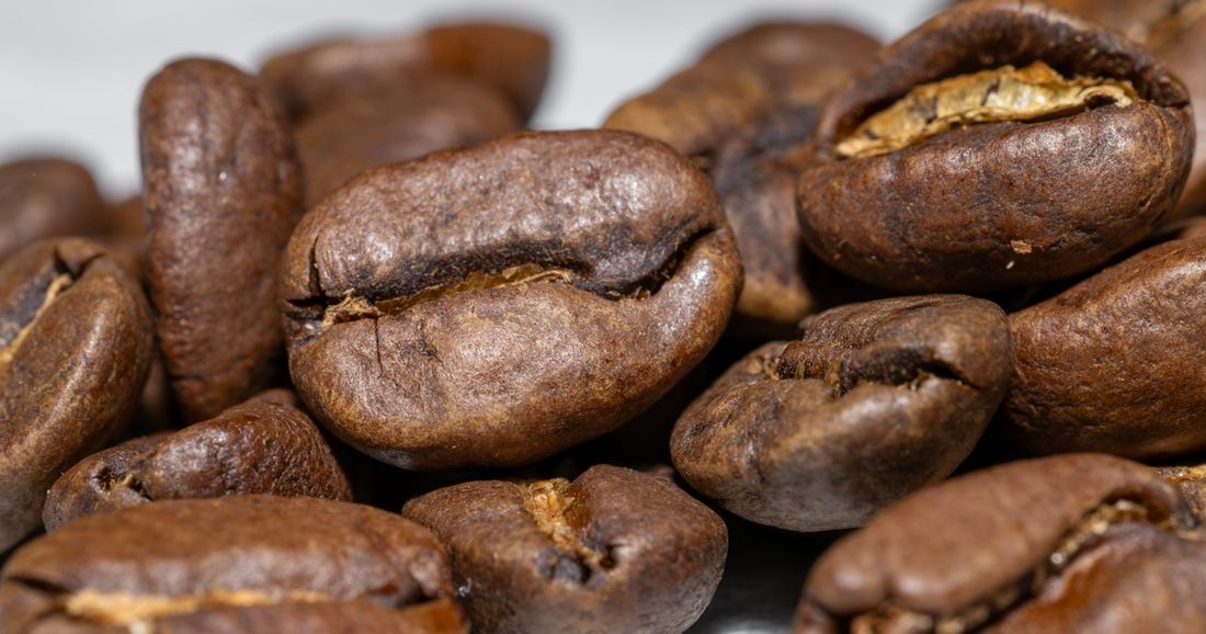What Is Single Origin Coffee Beans? A Complete Guide