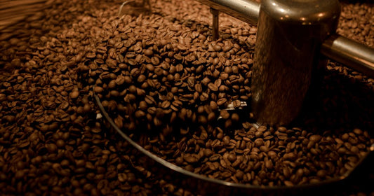 Specialty Coffee Blends Delivered Fast | Everline