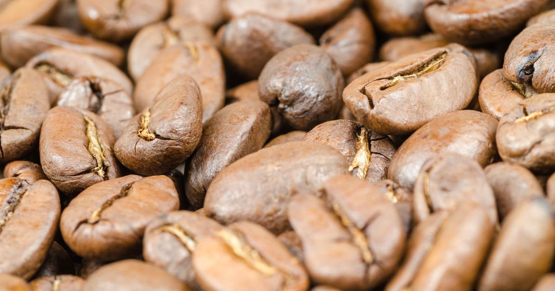 Single Origin vs Blend Coffee: Which Is Right for You?