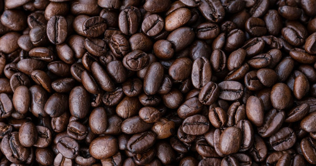 Best Premium Flavored Coffee Beans 2026: Top 6 Ranked
